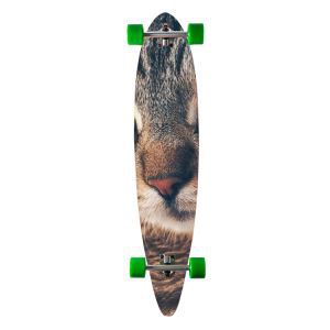 Canadian Maple Pintail Complete Longboard