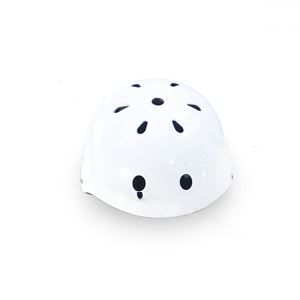 Downhill Skateboard Helmet